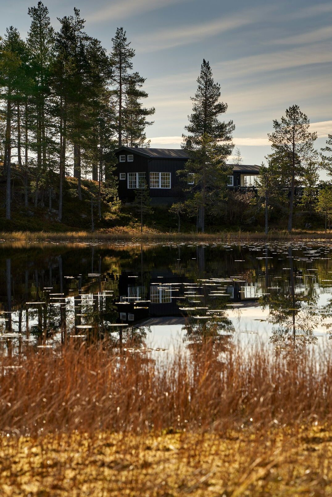 Rustic modern countryside estate surrounded by pine trees